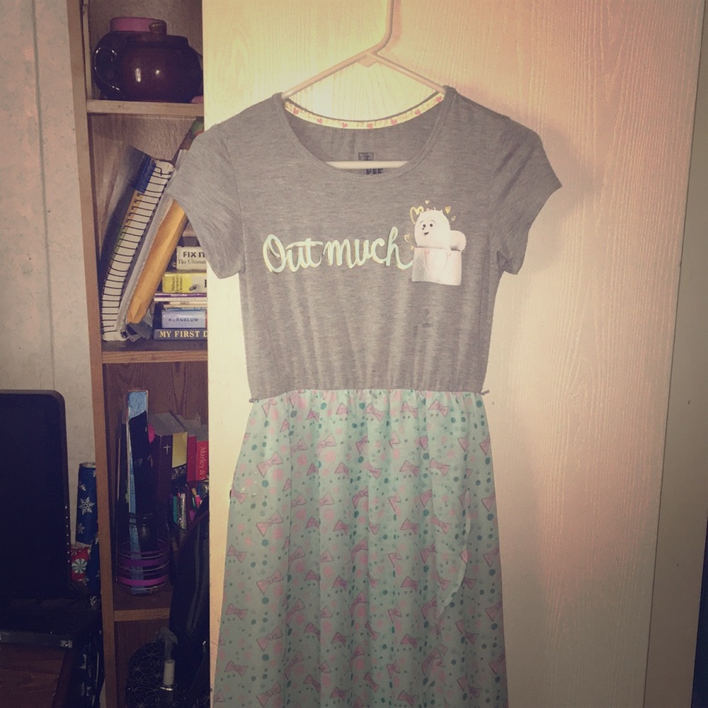 Secret life a pets dress 👗